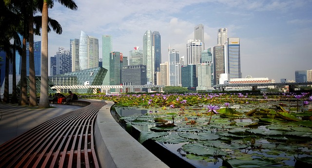 singapour avec ses immeubles